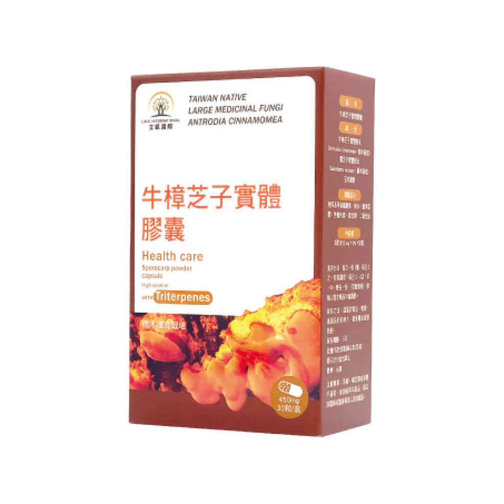 Quả nang thể quả Antrodia cinnamomea